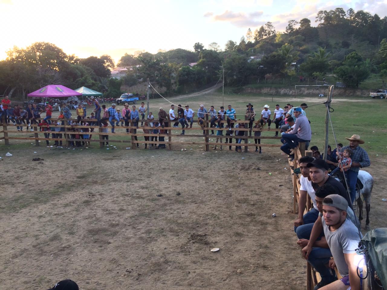 toros1